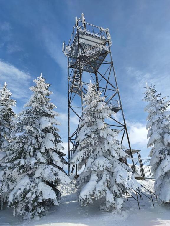 Chalet Horni Orlice Červená Voda Eksteriør billede