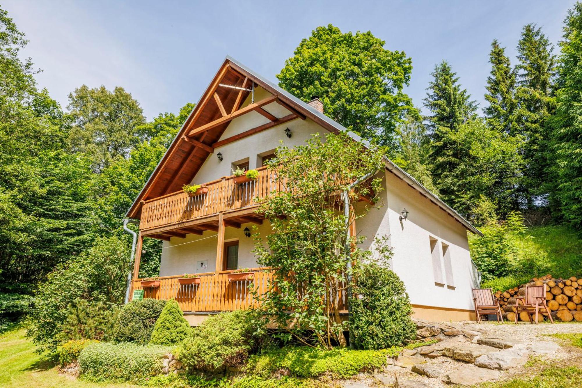 Chalet Horni Orlice Červená Voda Eksteriør billede