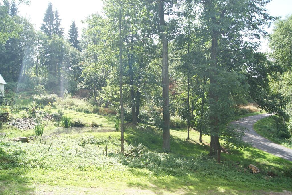 Chalet Horni Orlice Červená Voda Værelse billede
