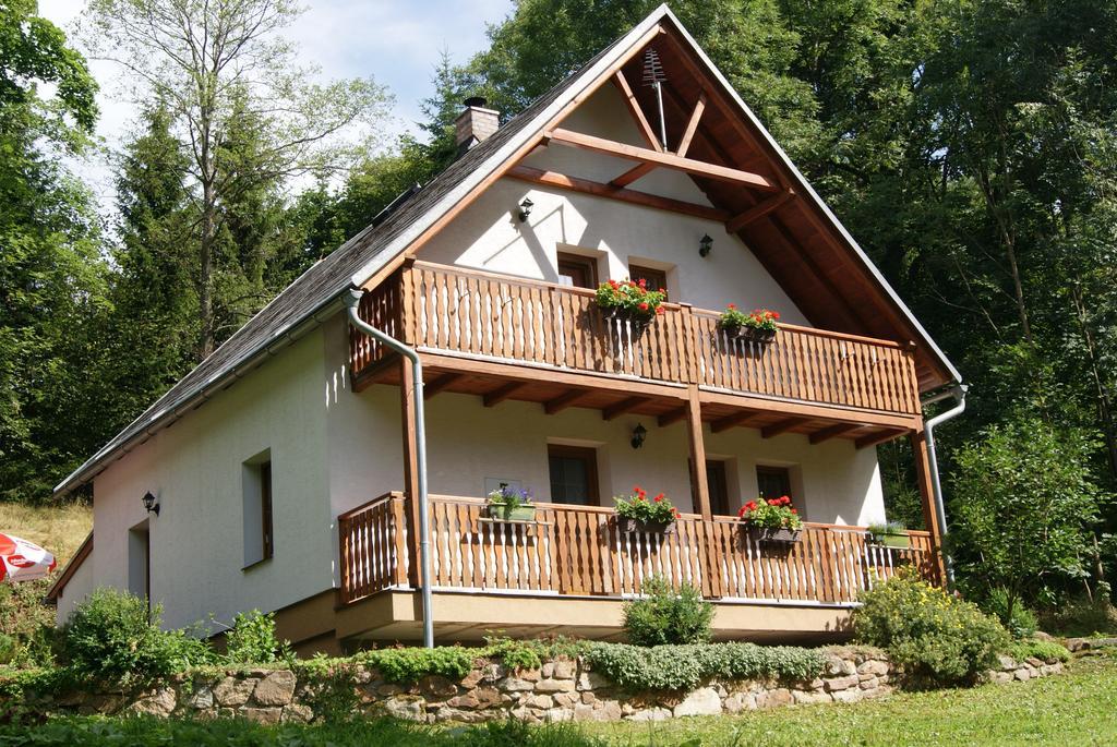Chalet Horni Orlice Červená Voda Eksteriør billede