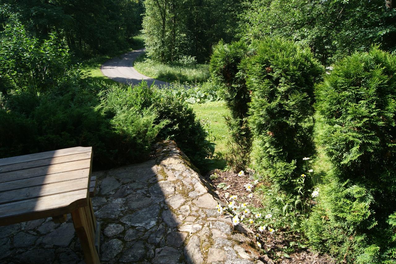 Chalet Horni Orlice Červená Voda Eksteriør billede
